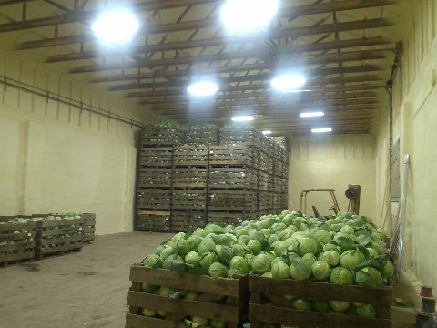 Cold storage building concrete floor and structure